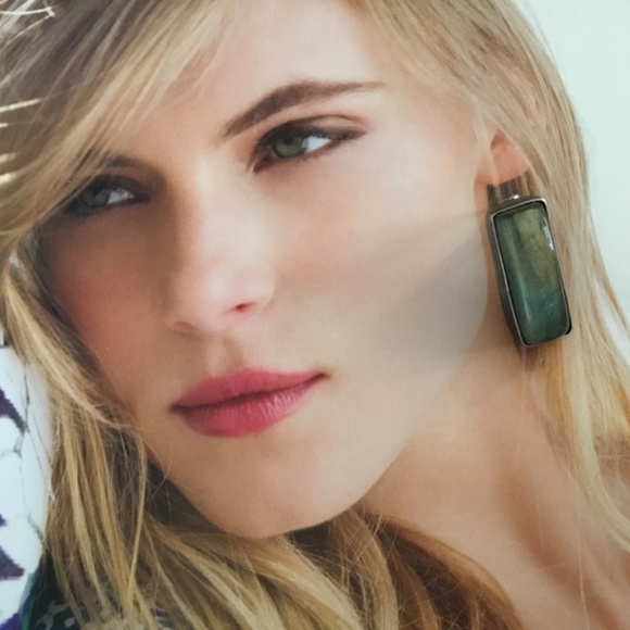 Mercury Orchid Artisan "Light in the Forest" Labradorite Earrings are NWOT!! - Picture 9 of 10